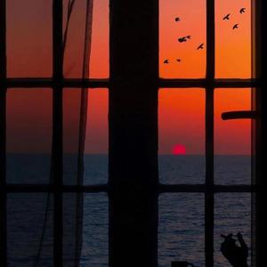 插入美女阴郭30分钟的高清视频
